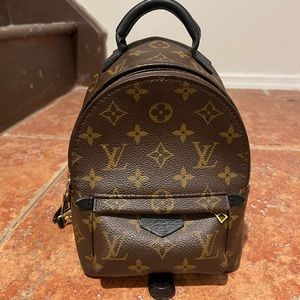 Louis Vuitton Palm Springs mini